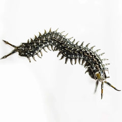 Giant Centipede